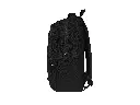 223.webp