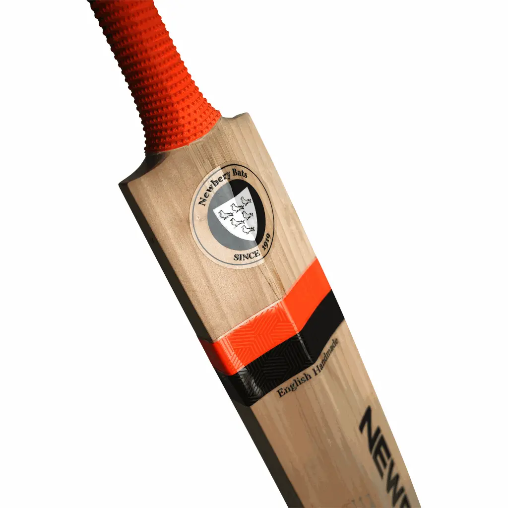 MASTER 100 BACK DETAIL.webp