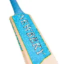Pulse Bat (PRO) Detail Rear 2048.webp