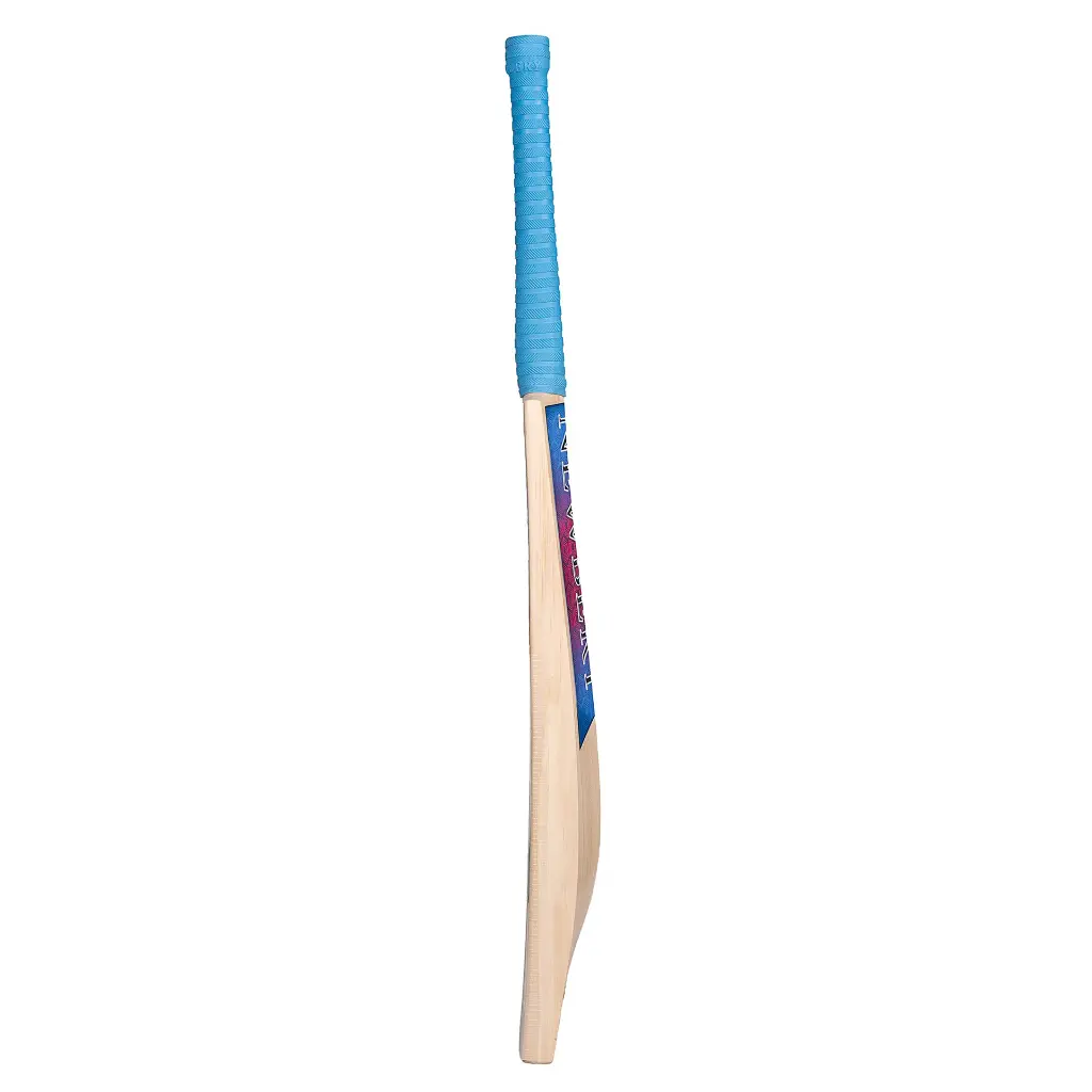 Academy Bat (PRO) Side 2048.webp