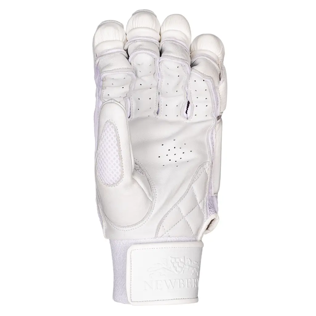SPS Gloves Inside 2048.webp