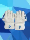 Prophecy Prestige Wicket Keeping Gloves