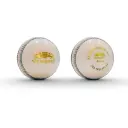 Newbery Elite Cricket Ball - Junior White
