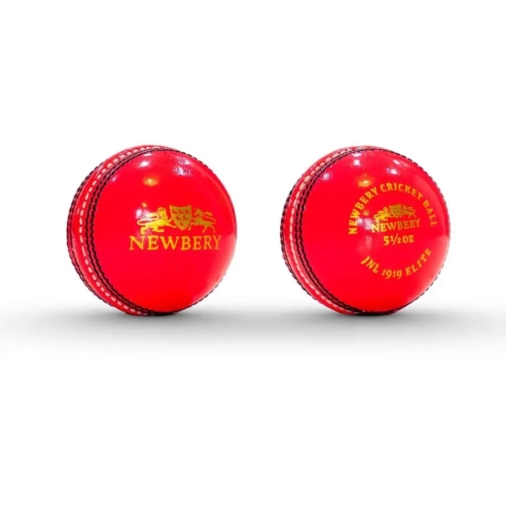 Newbery Elite Cricket Ball - Mens Pink