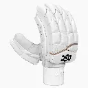 DSC Xlite 1.0 Batting Gloves