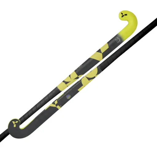 Y1 - LB X.2