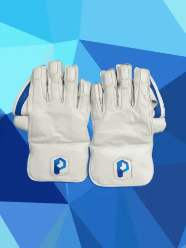 Prophecy Prestige Wicket Keeping Gloves