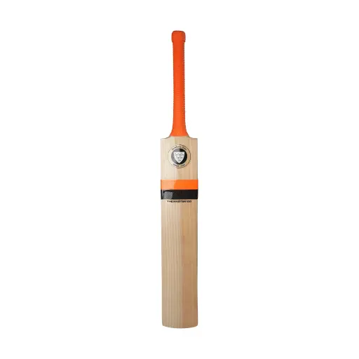 Newbery The Master 100